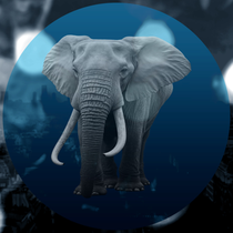 Геннадий Адаменко